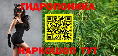 спиды Абакан