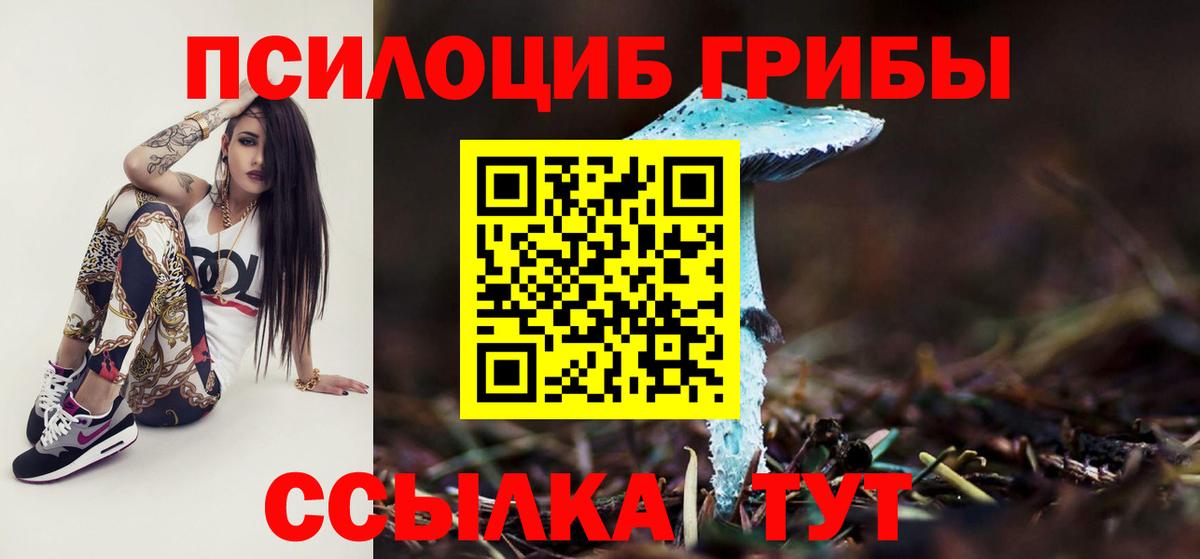 Псилоцибиновые грибы GOLDEN TEACHER Ангарск